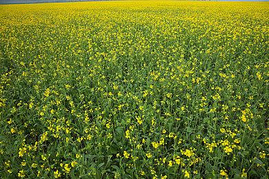 《罐舱逃生指南》正式版发售 Steam综合评价“特别好评”