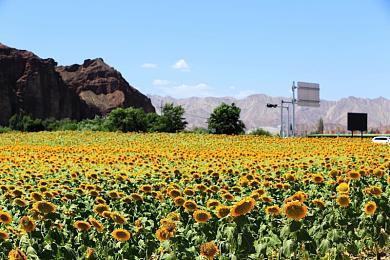 《最终幻想7 重生》×日清咚兵卫联动广告 游戏明日上线