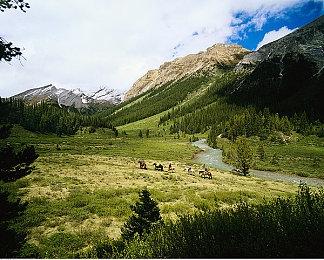 《使命召唤》反作弊更新：违规者将变成“流星雨”